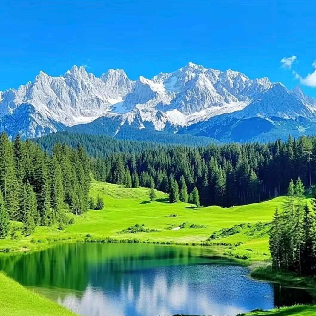 球宝宝