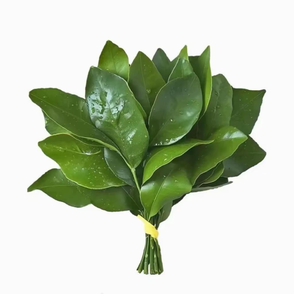 雯雯🦄（励志版）