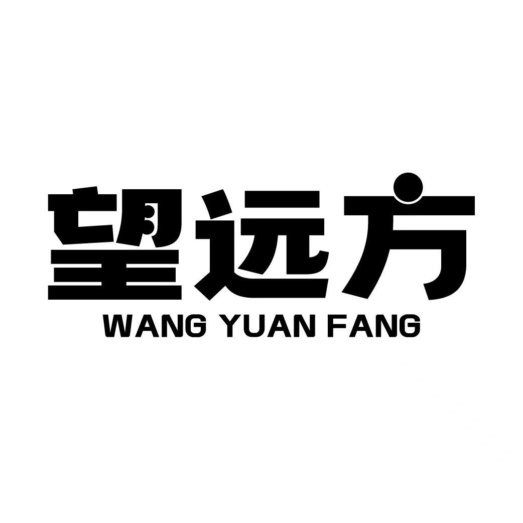 望远方远程行车记录仪