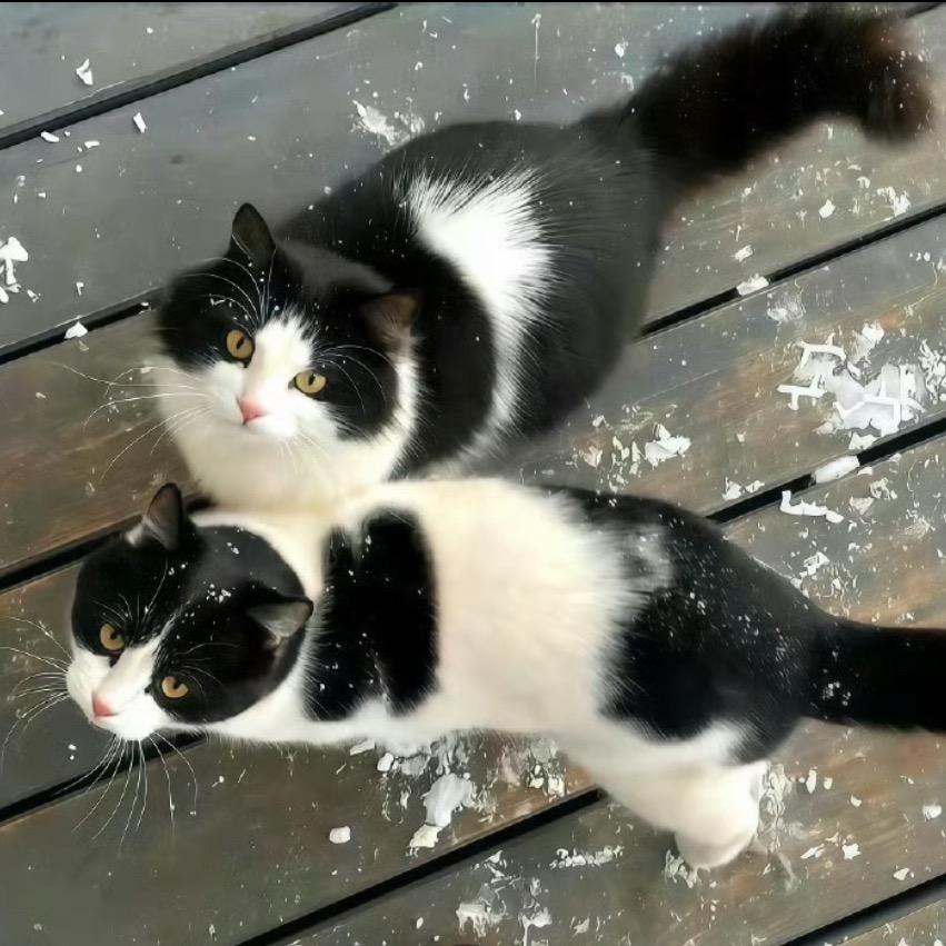 漏网之鱼香肉丝