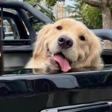 远山迷雾🇺🇸