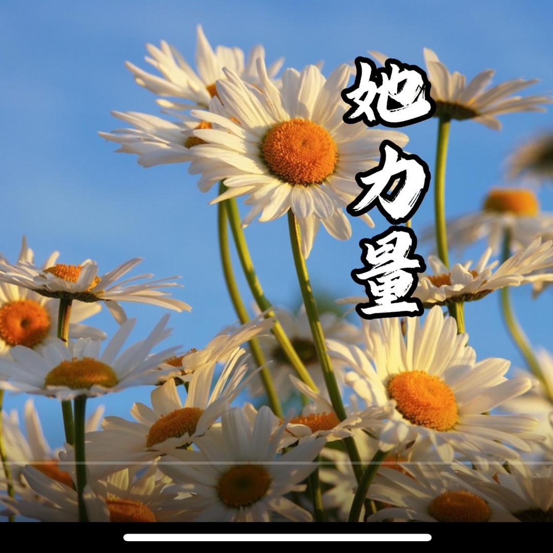 她力量心塾