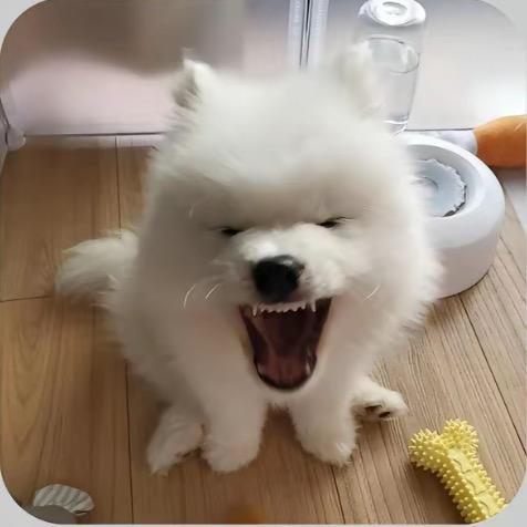 能能