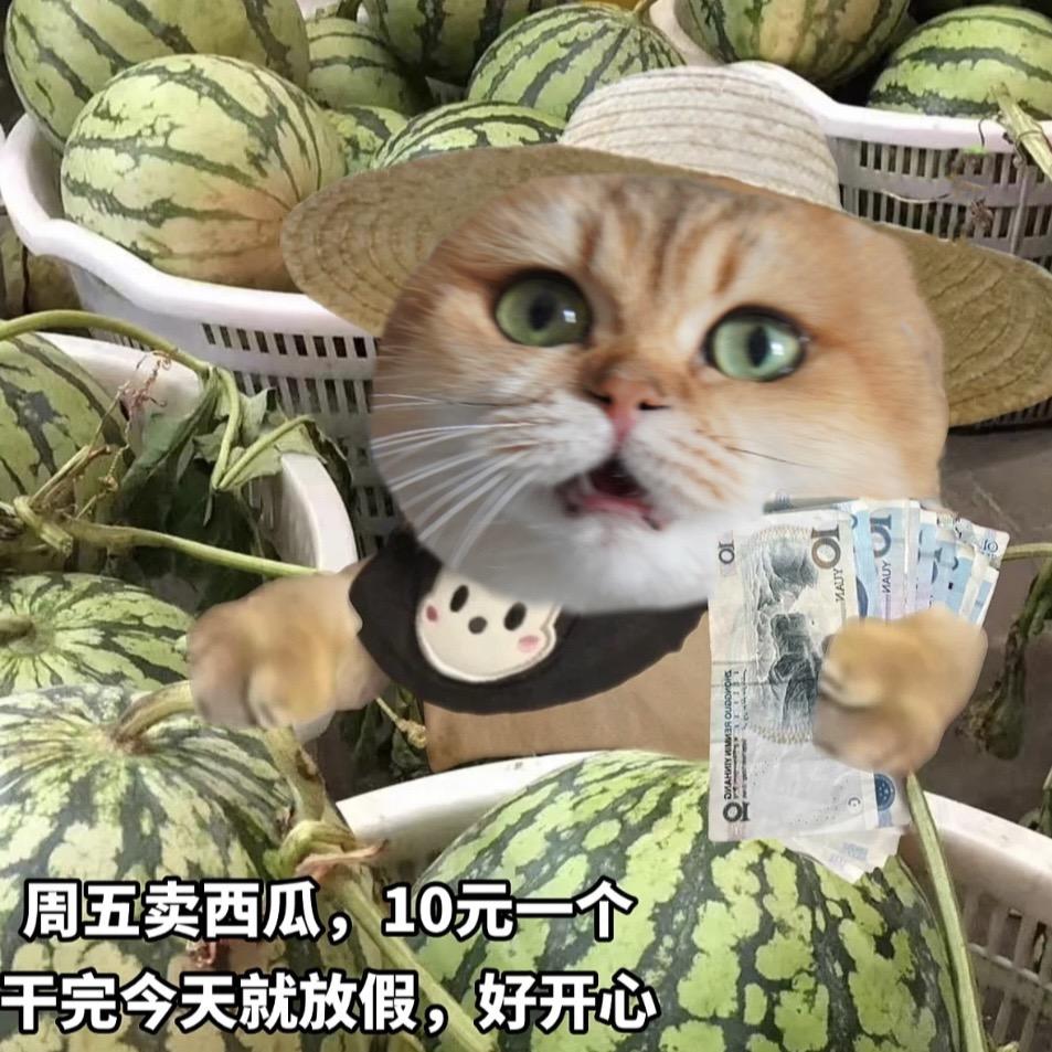 陈砰砰