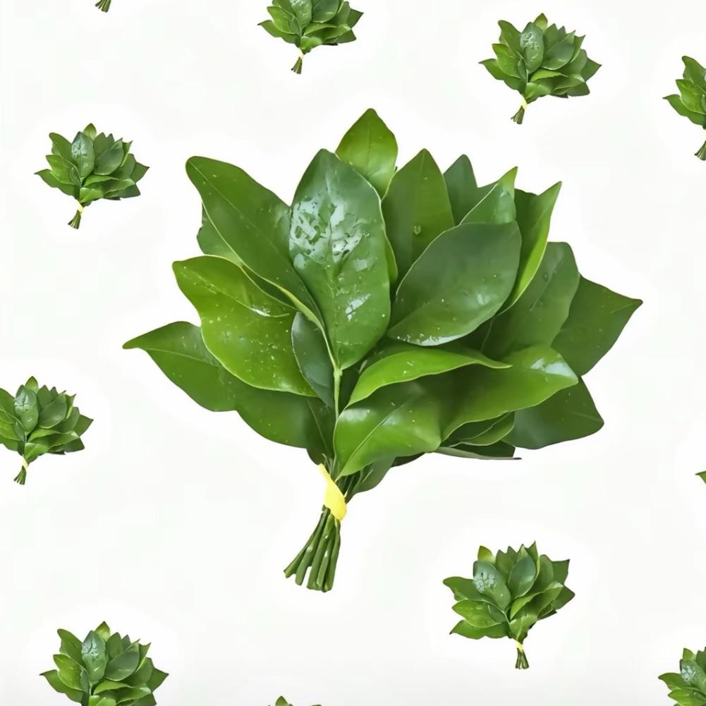 AAA摩配批发小哲