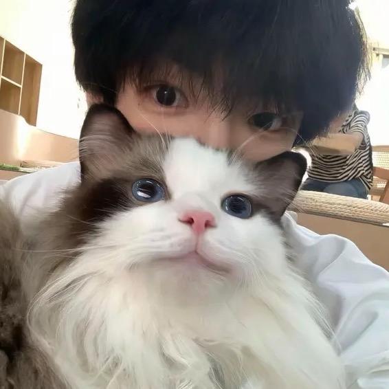 盼盼