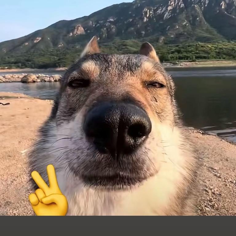 7K7K