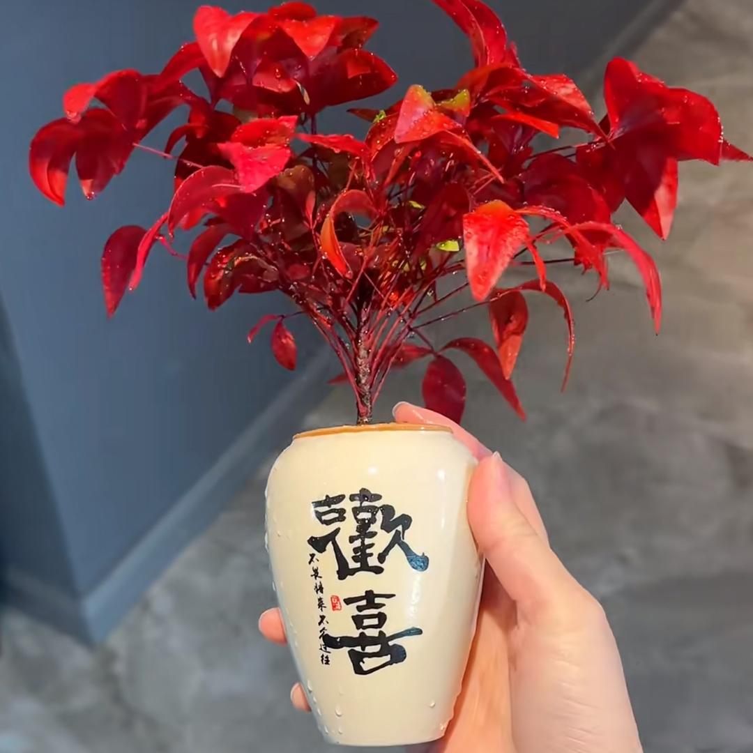 এ᭄ོ甜甜ృ༊ ࿐