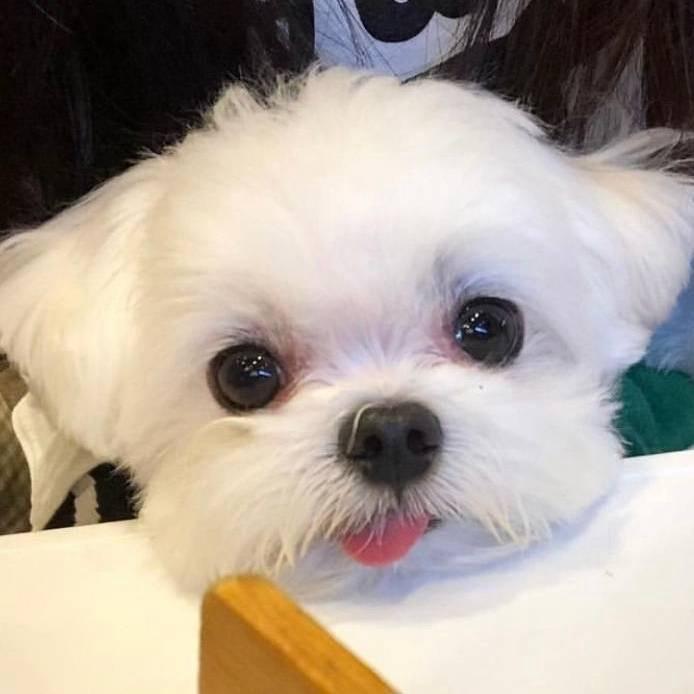 yuqing