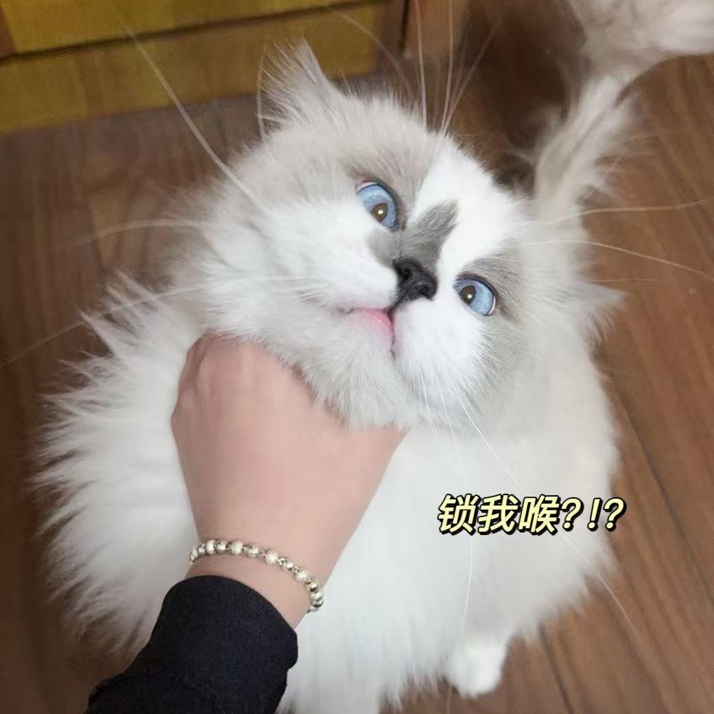 ………