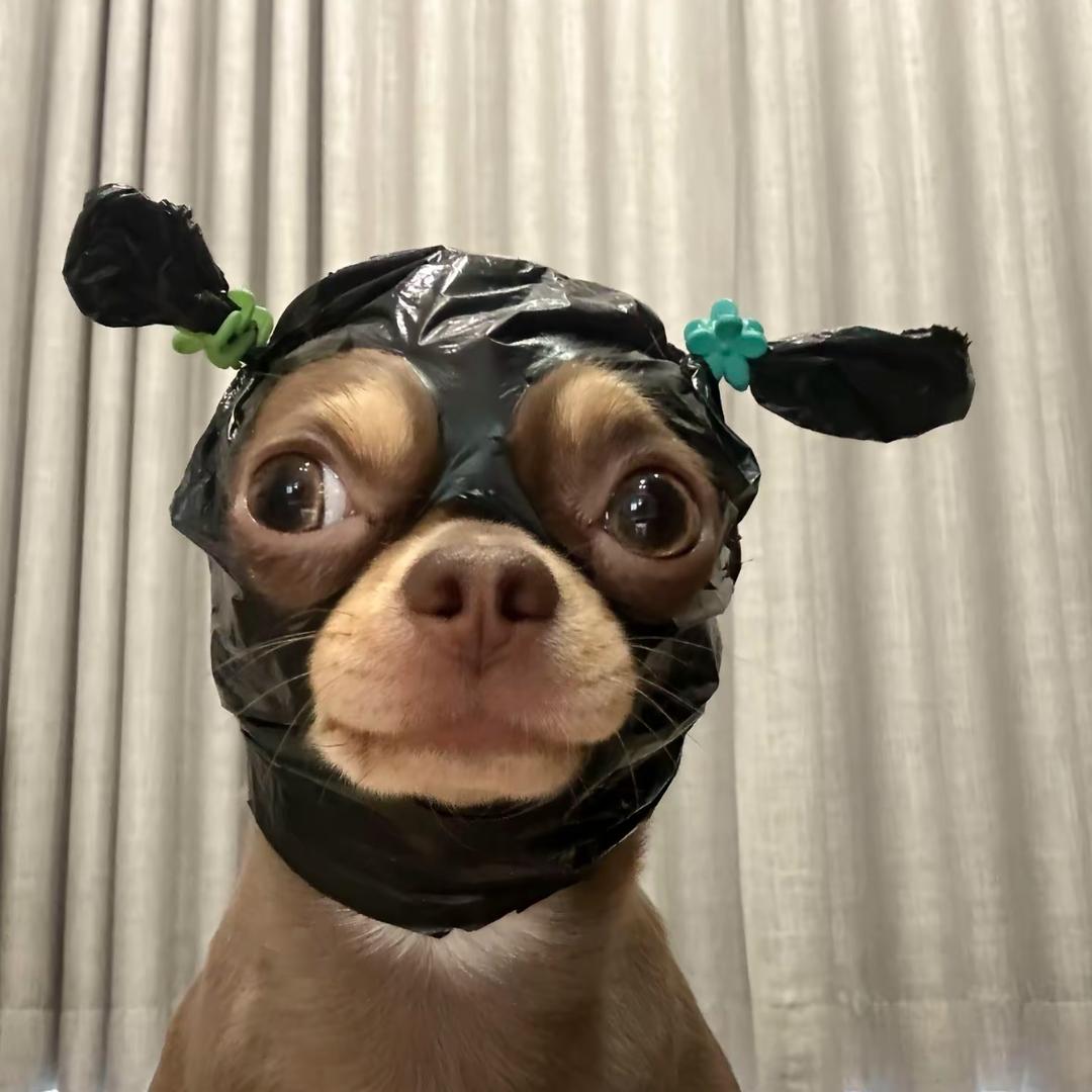 见一面