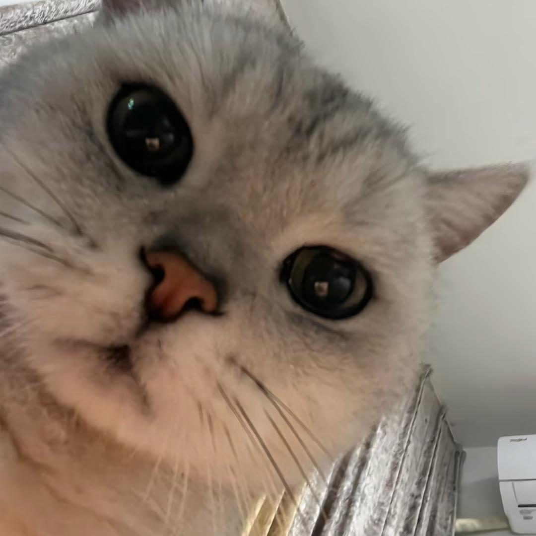 眼泪拌饭