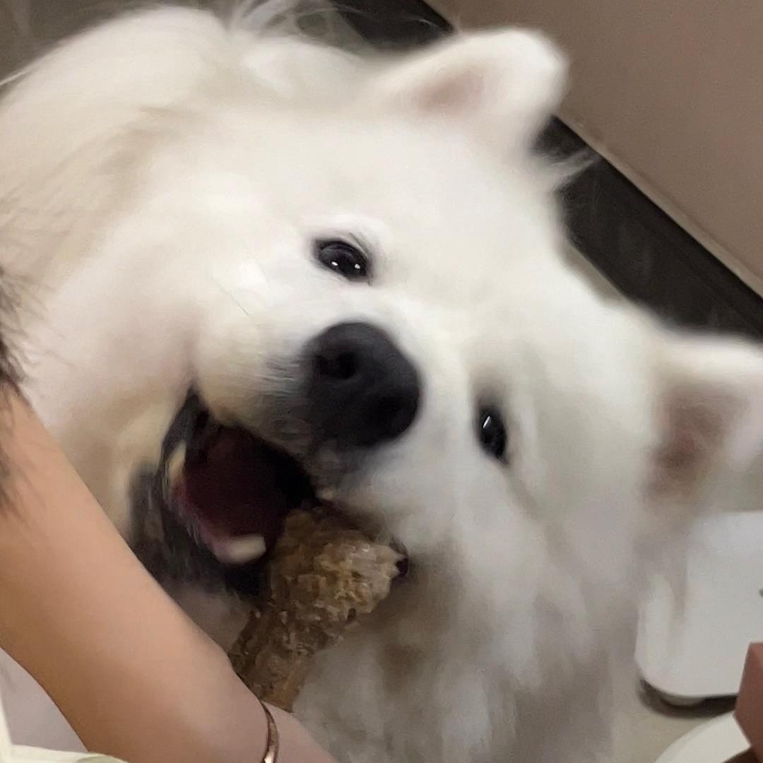钱多多来啦🐶
