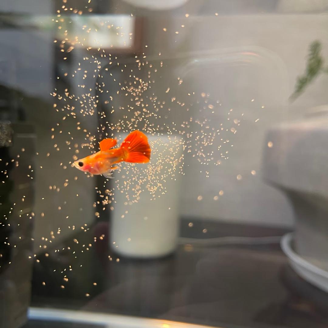 中国珠宝印象汇店