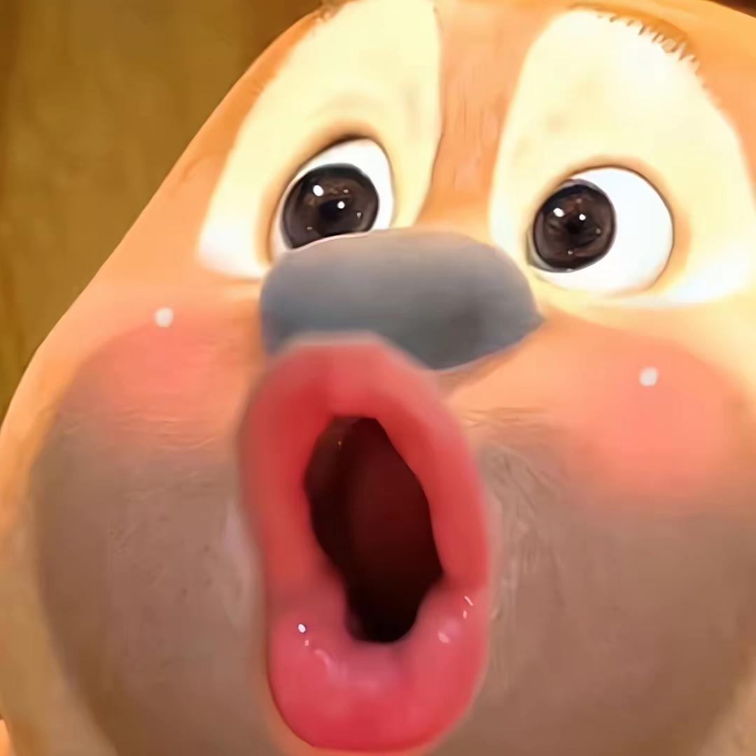 大胖哈尼