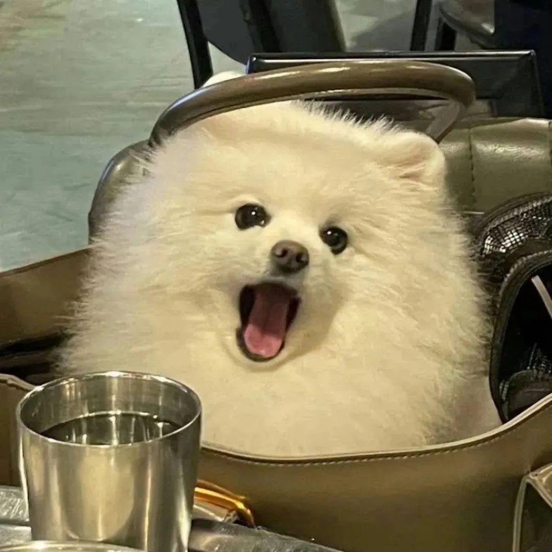 我睡着了