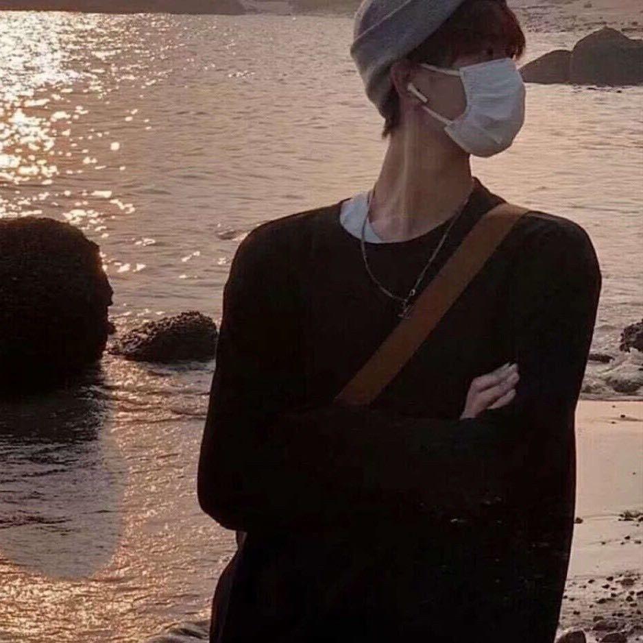 忧郁的卷心菜
