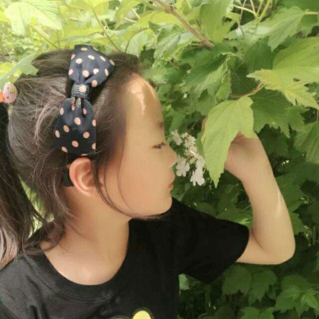 李@川（一年两季）