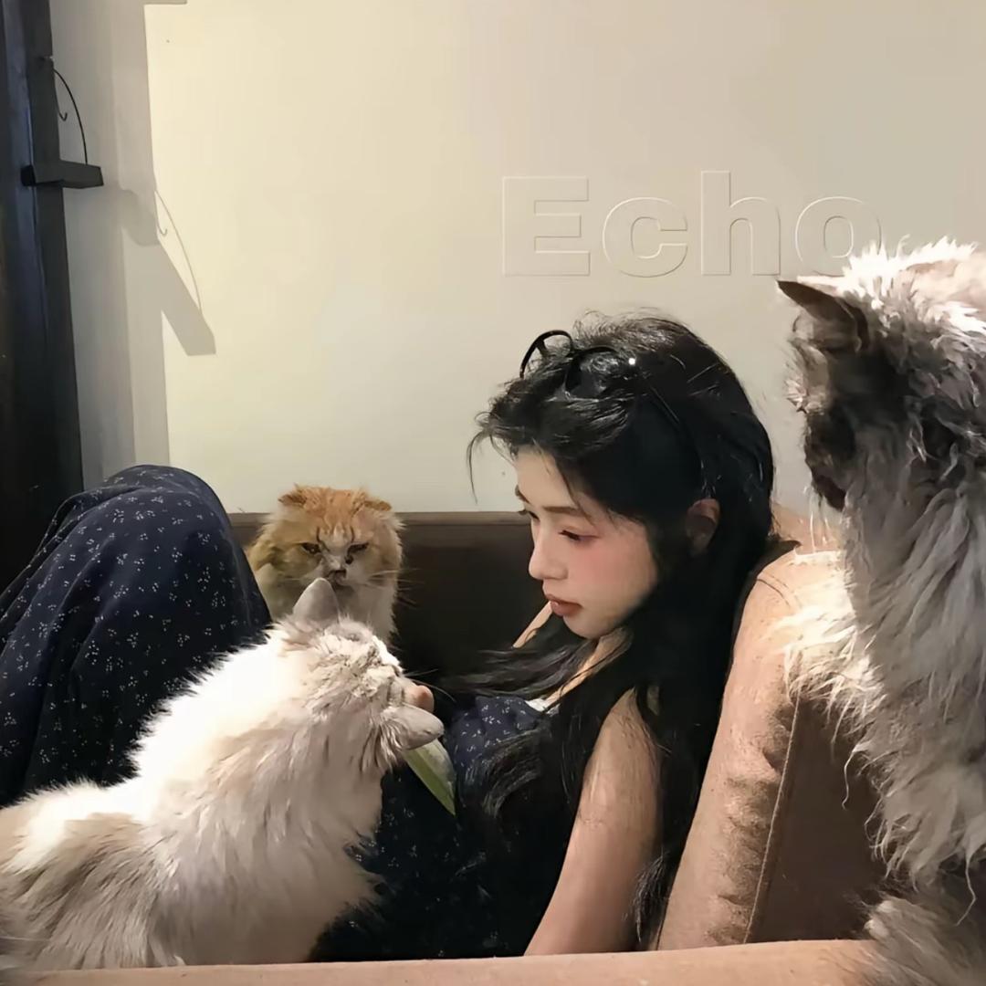 张嘻嘻