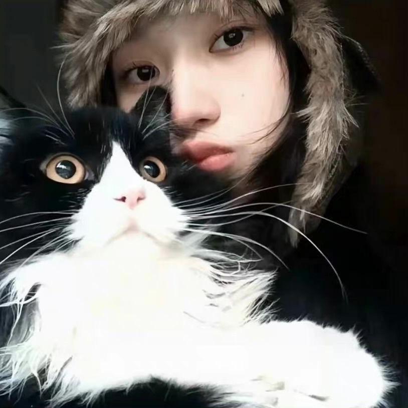 桃树上的猫🐱