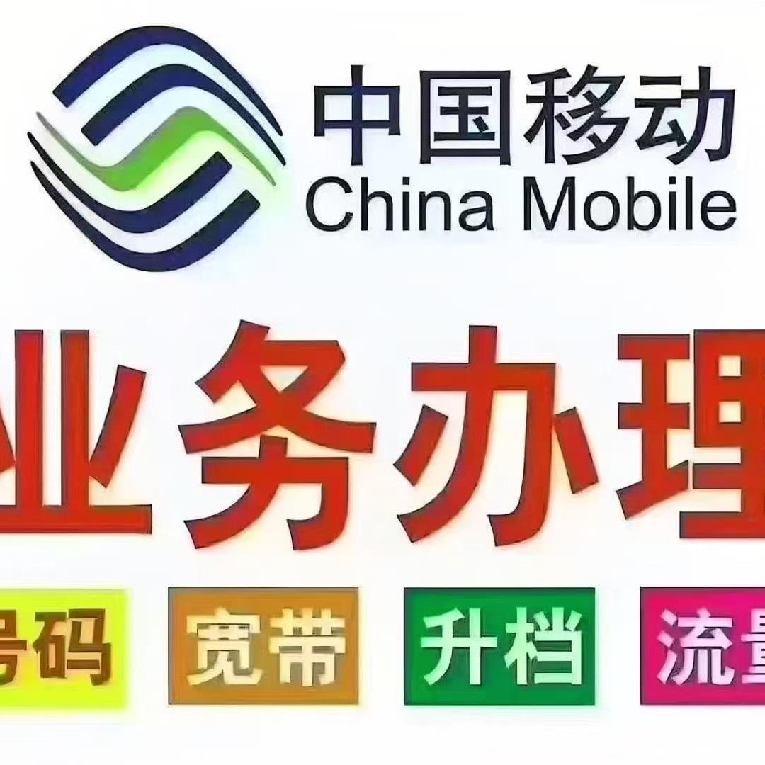 叶县移动办理～玲玲
