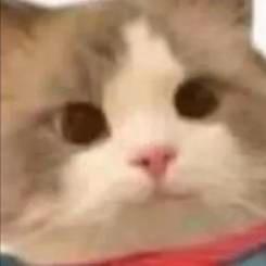 不灭的旋律lo