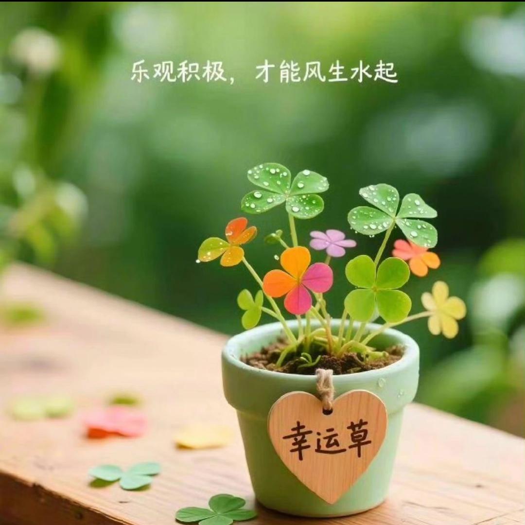 幸运草