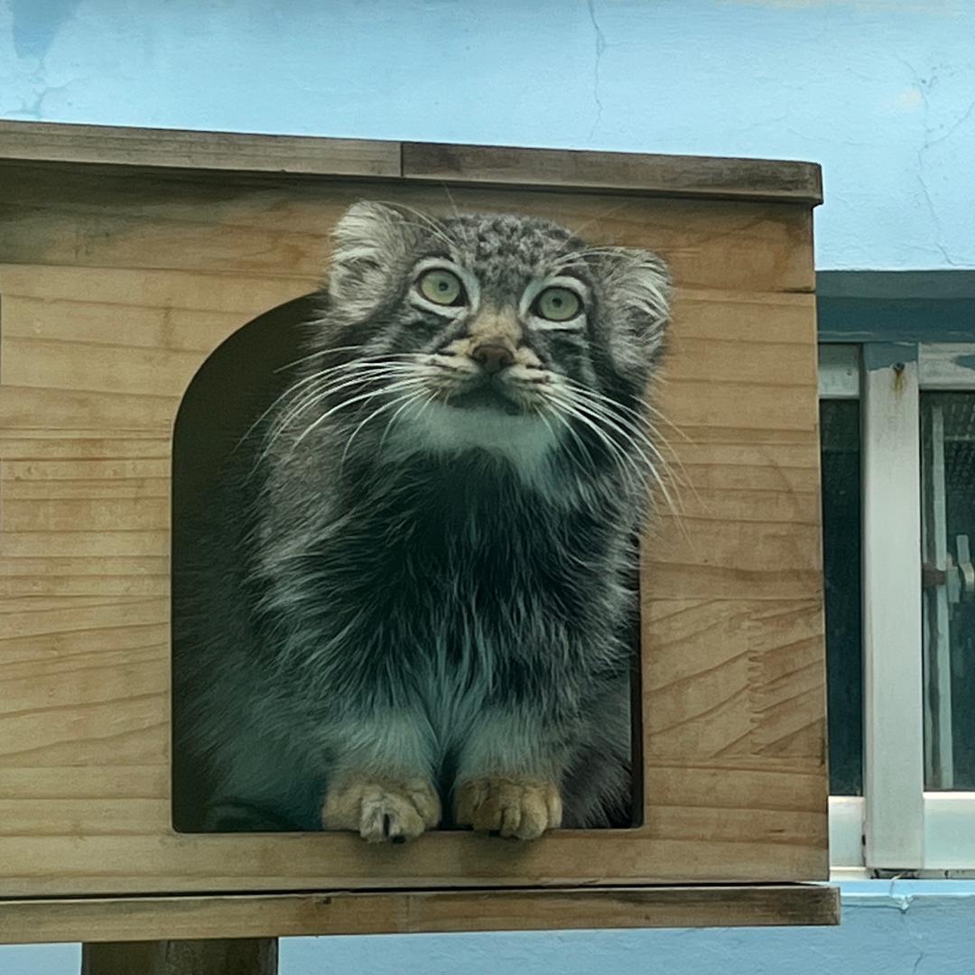 胜利村螺丝工刘师傅