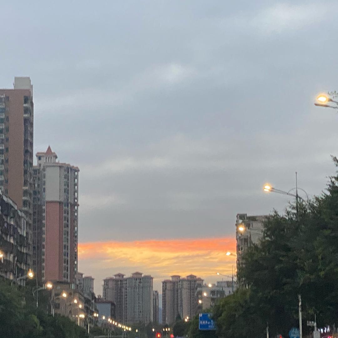 随心