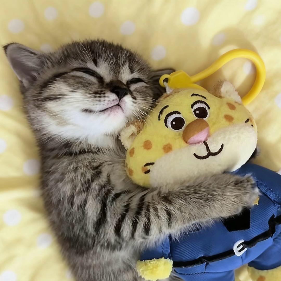 超级无敌可爱垚.