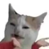 uki