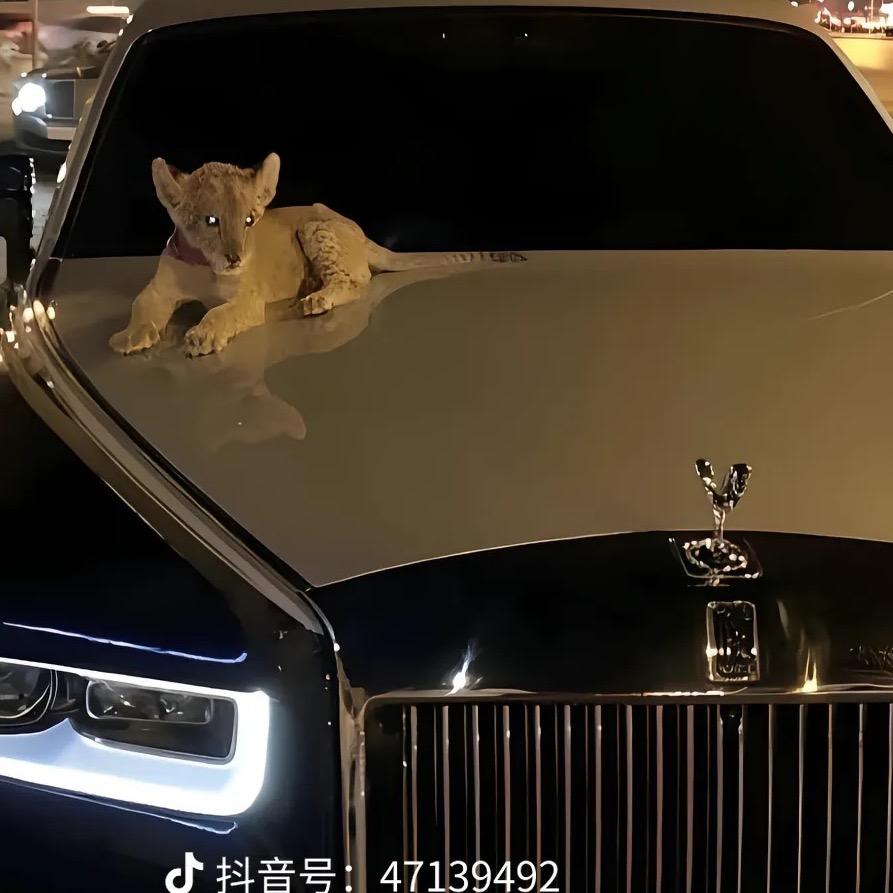 䱌躚韘顰㒞钀䮜忁䘀驇䕸靌䕤薭㘤