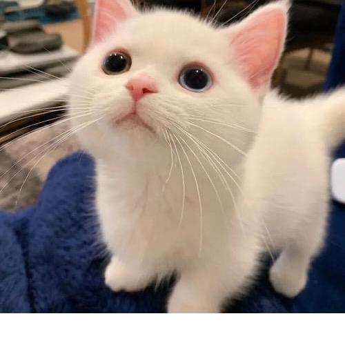 @艳姐好物【同款好货在橱窗】