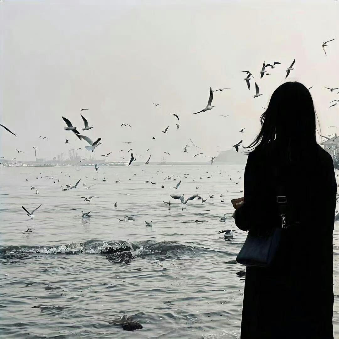 曲奇单车🍪9-1011