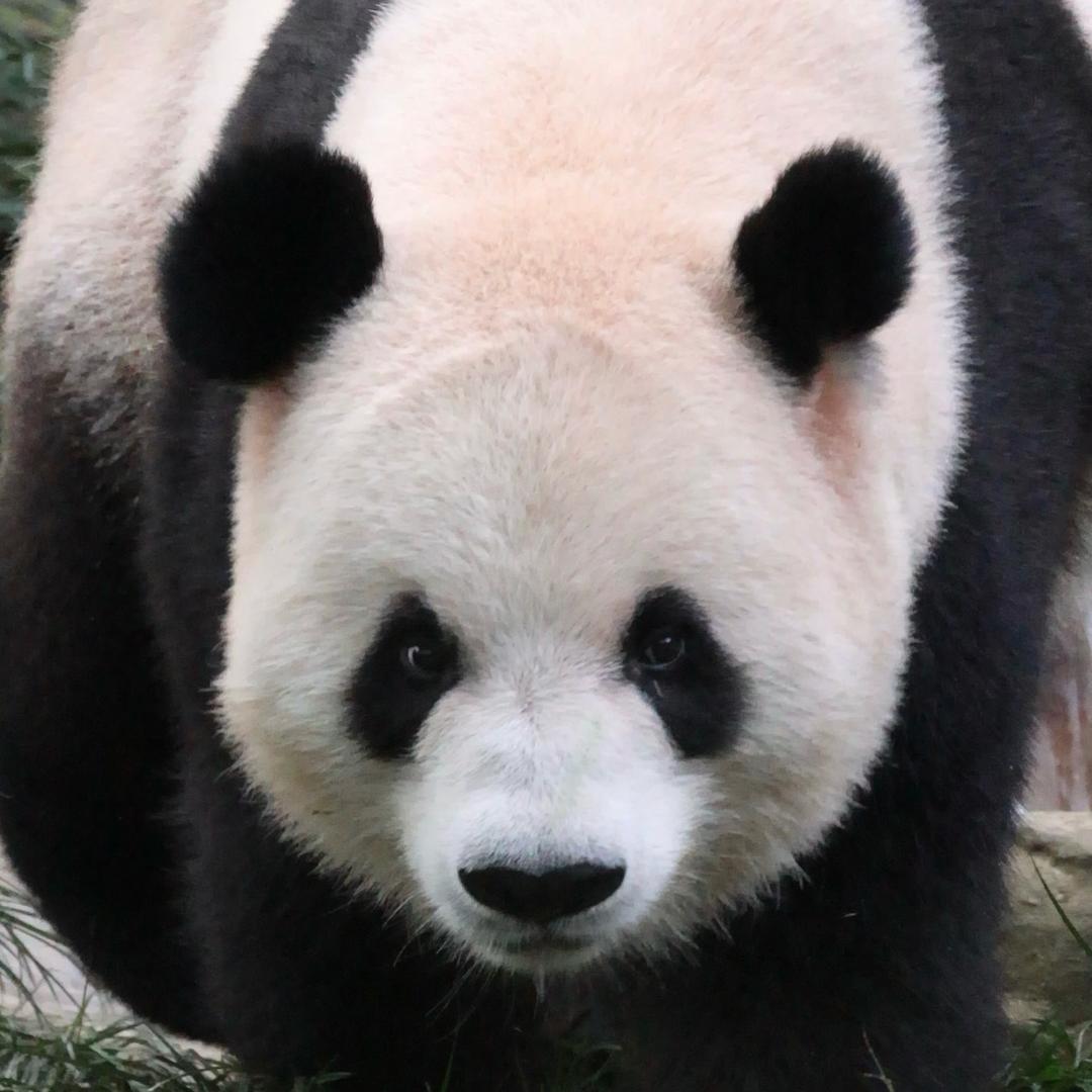 kidsforever ⁷⁷⁹⁹