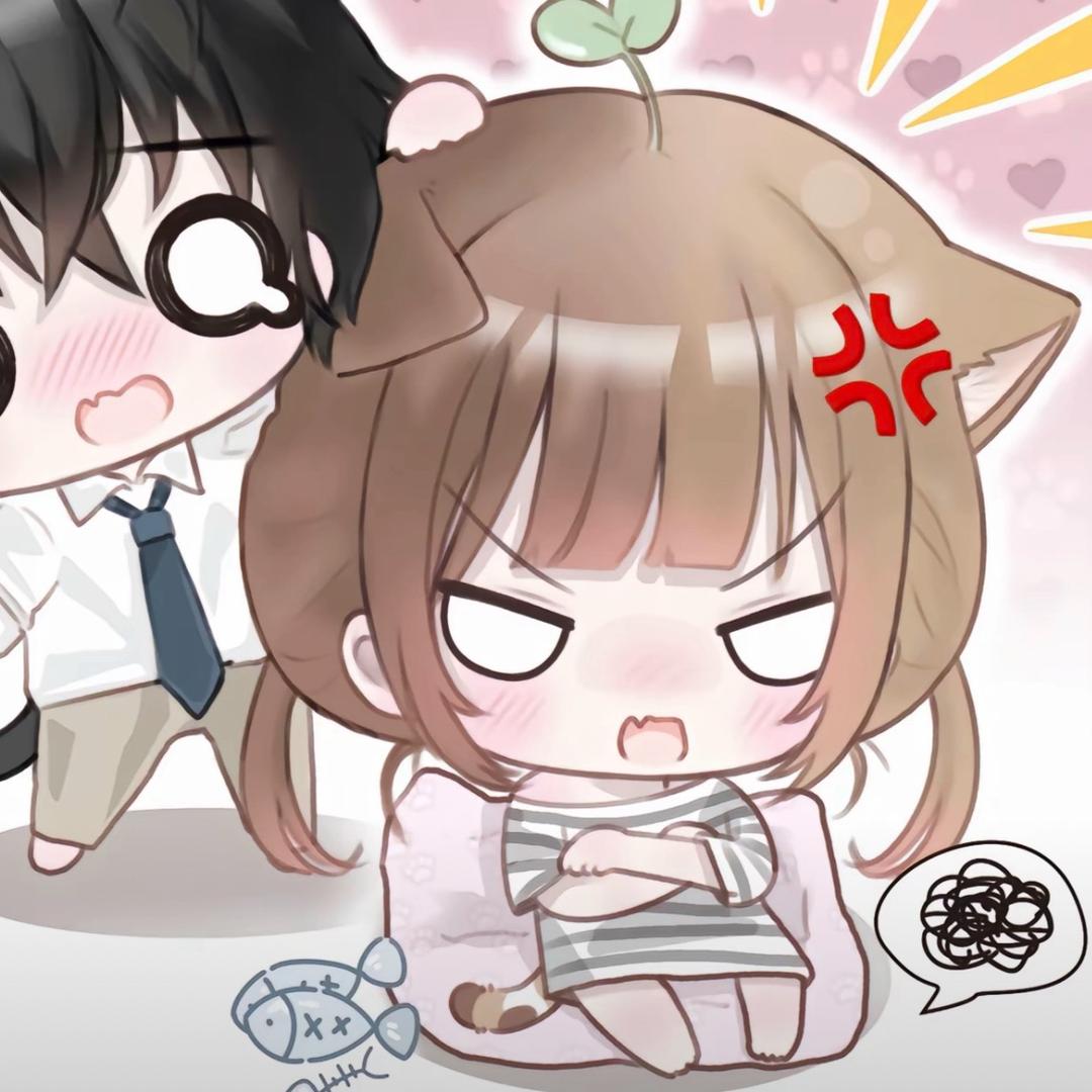 怡什么