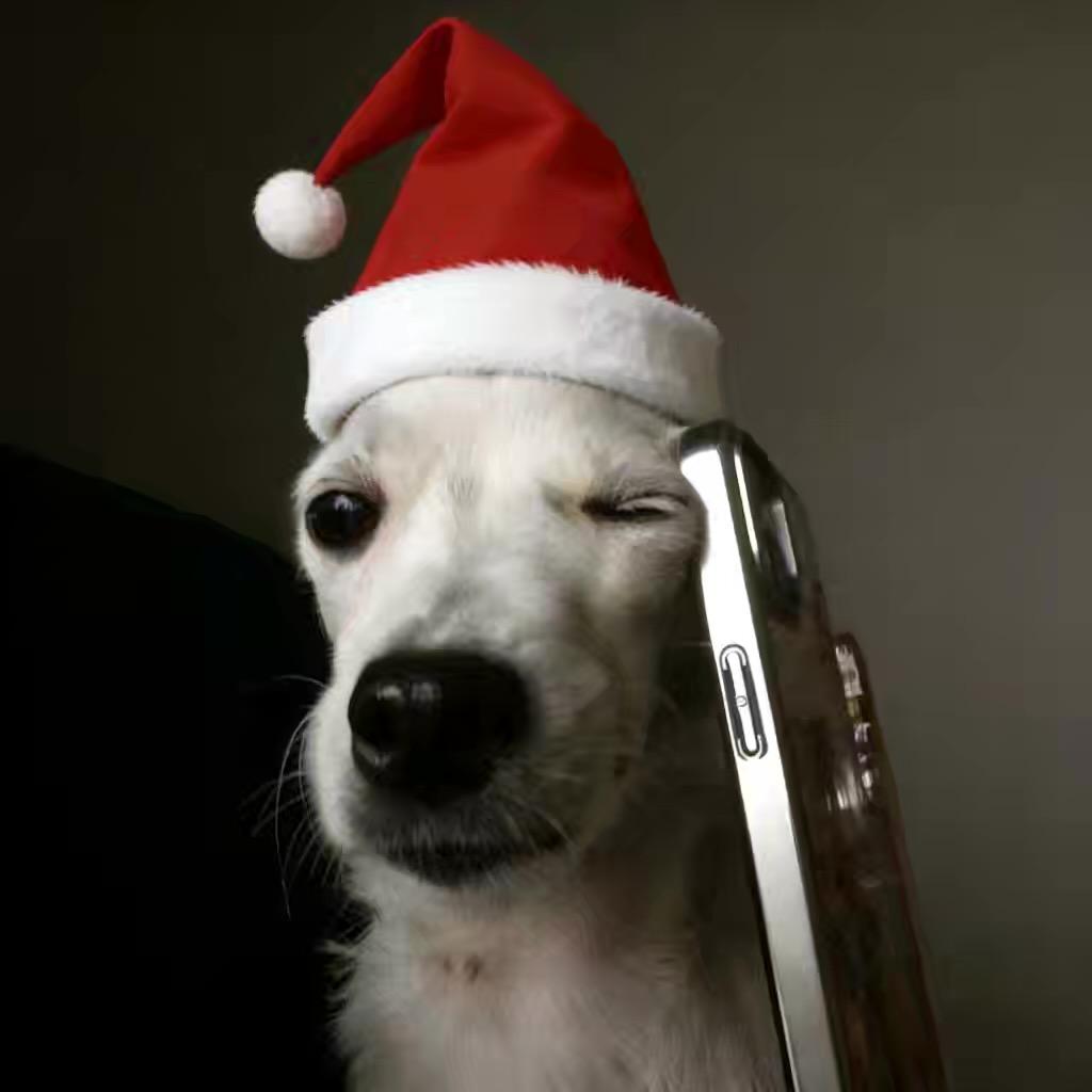 润（随家仓小霸王