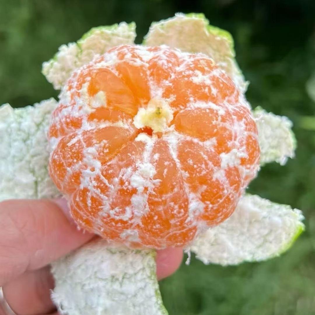 鲜果果