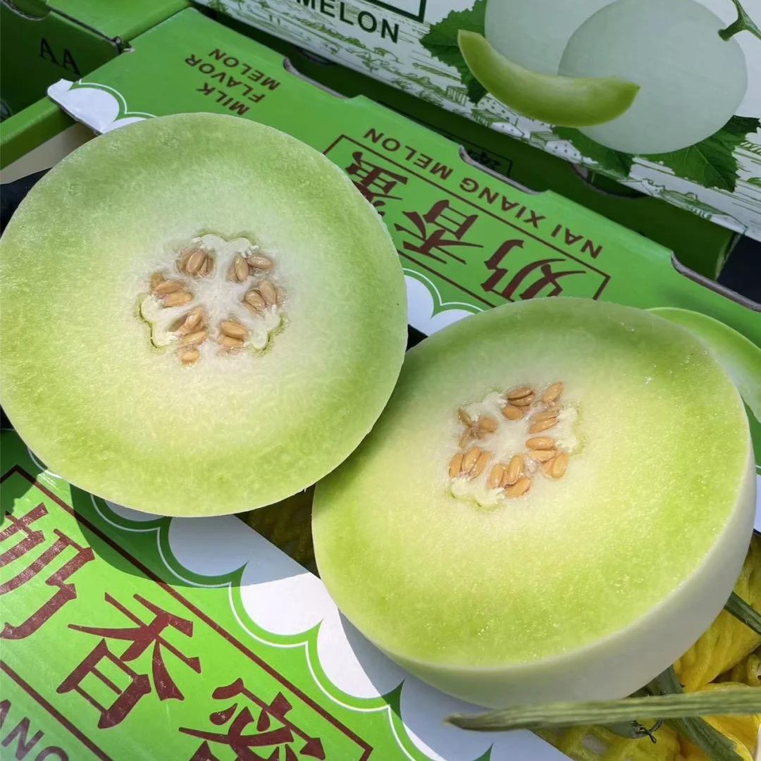 一直想瘦的姐姐