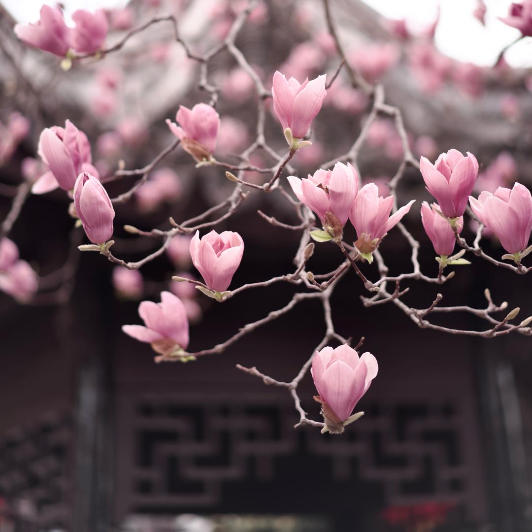 🌟心心 念念💖