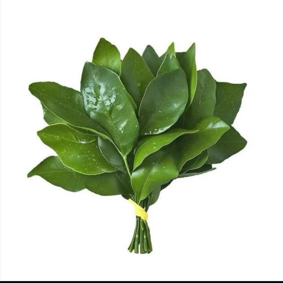 wk