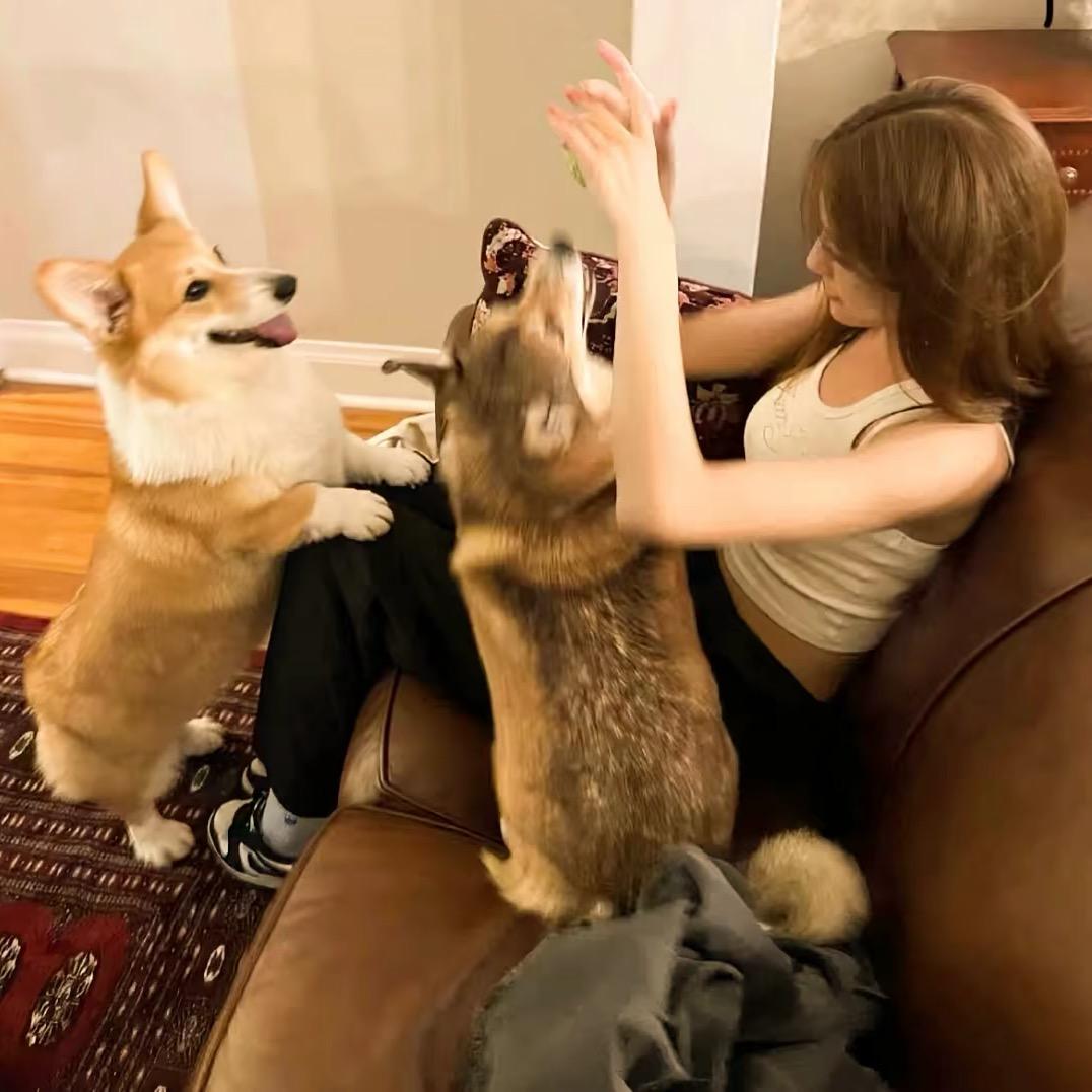 祝你失眠.