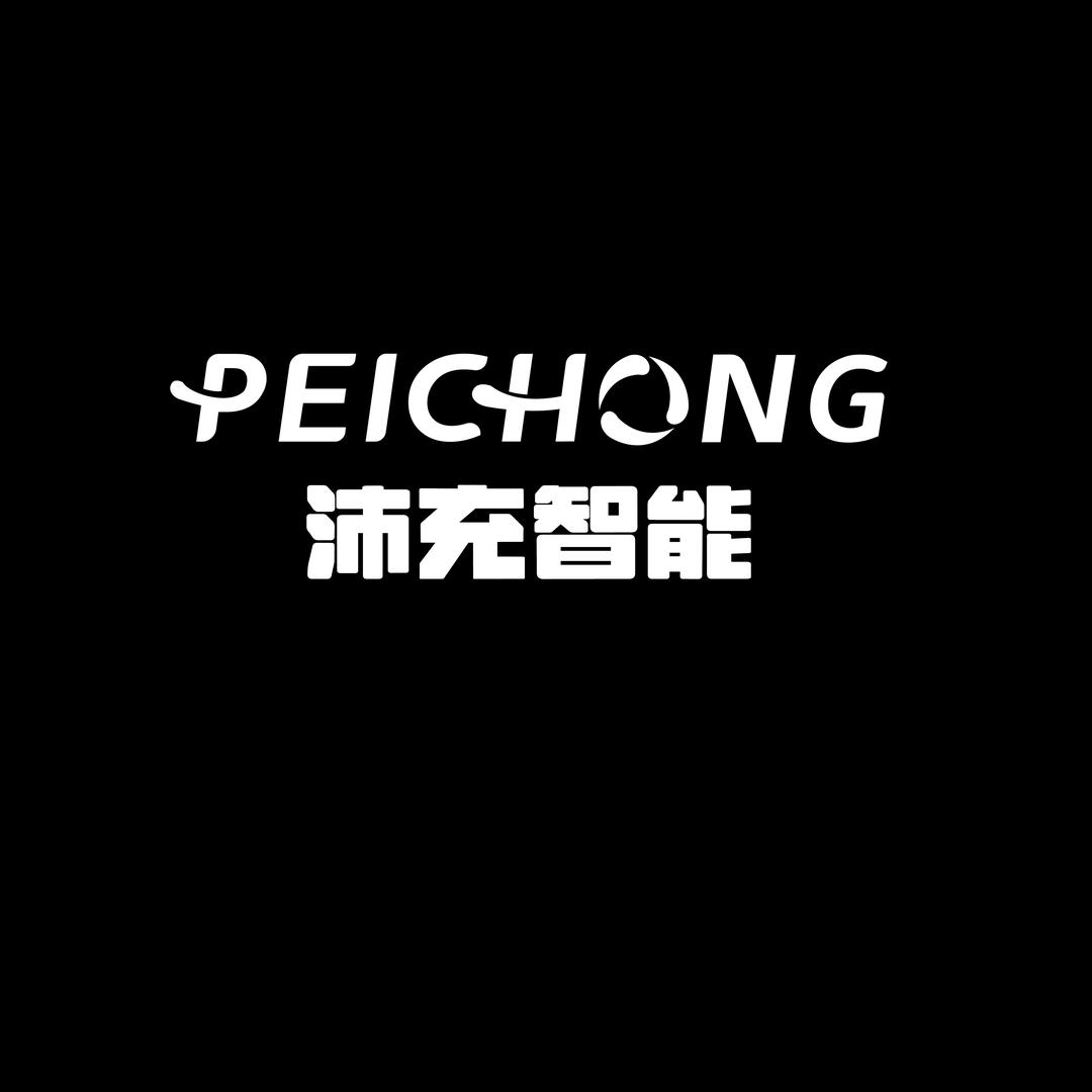 沛充智能汽车用品精选店