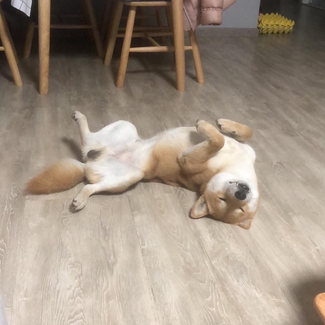 林二蛋