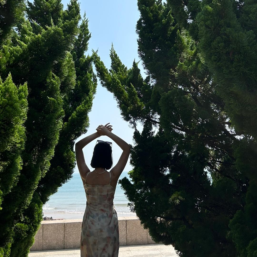 圆圆是只小猪咪