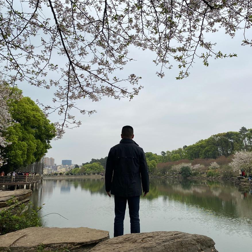 王 新
