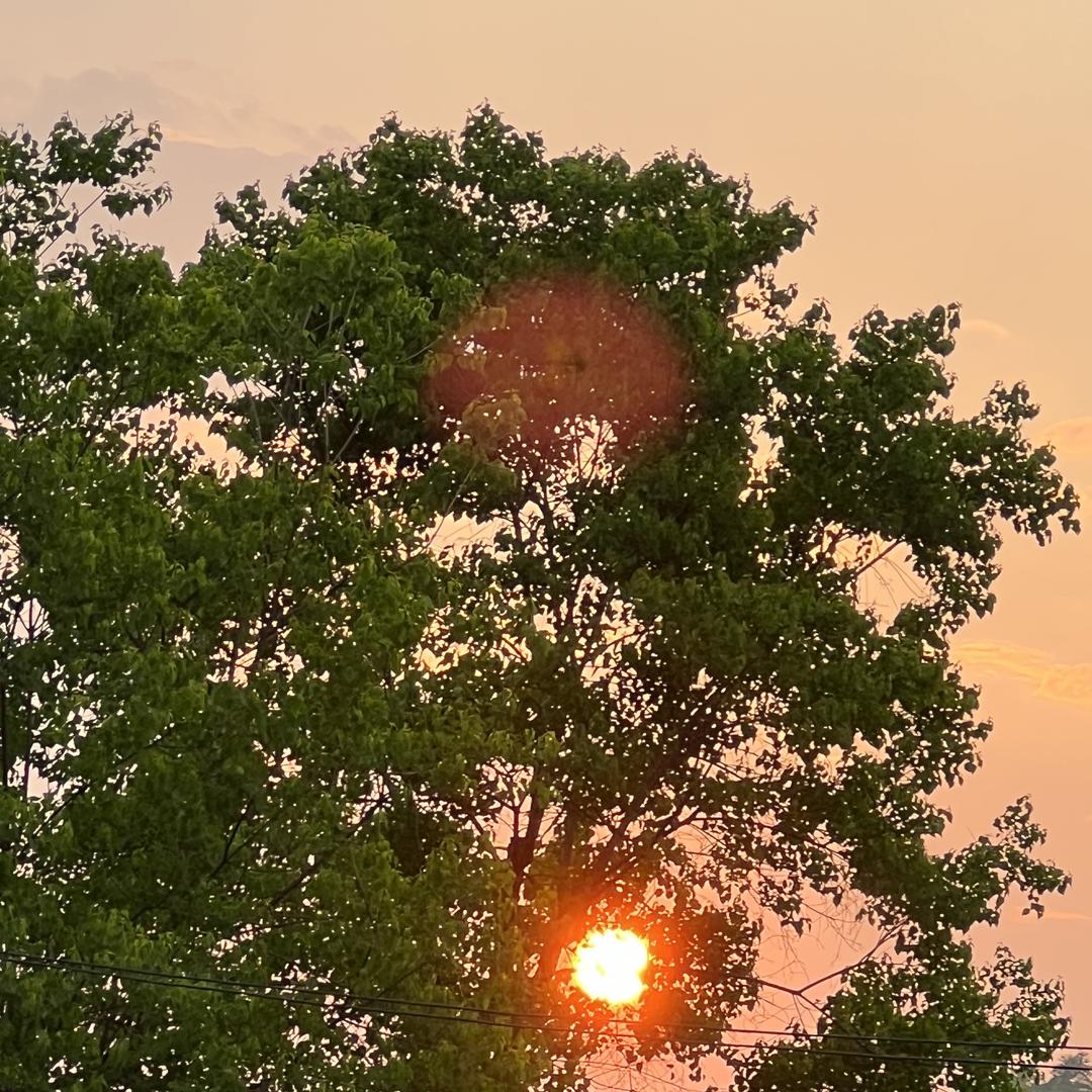黔农本草臻品店