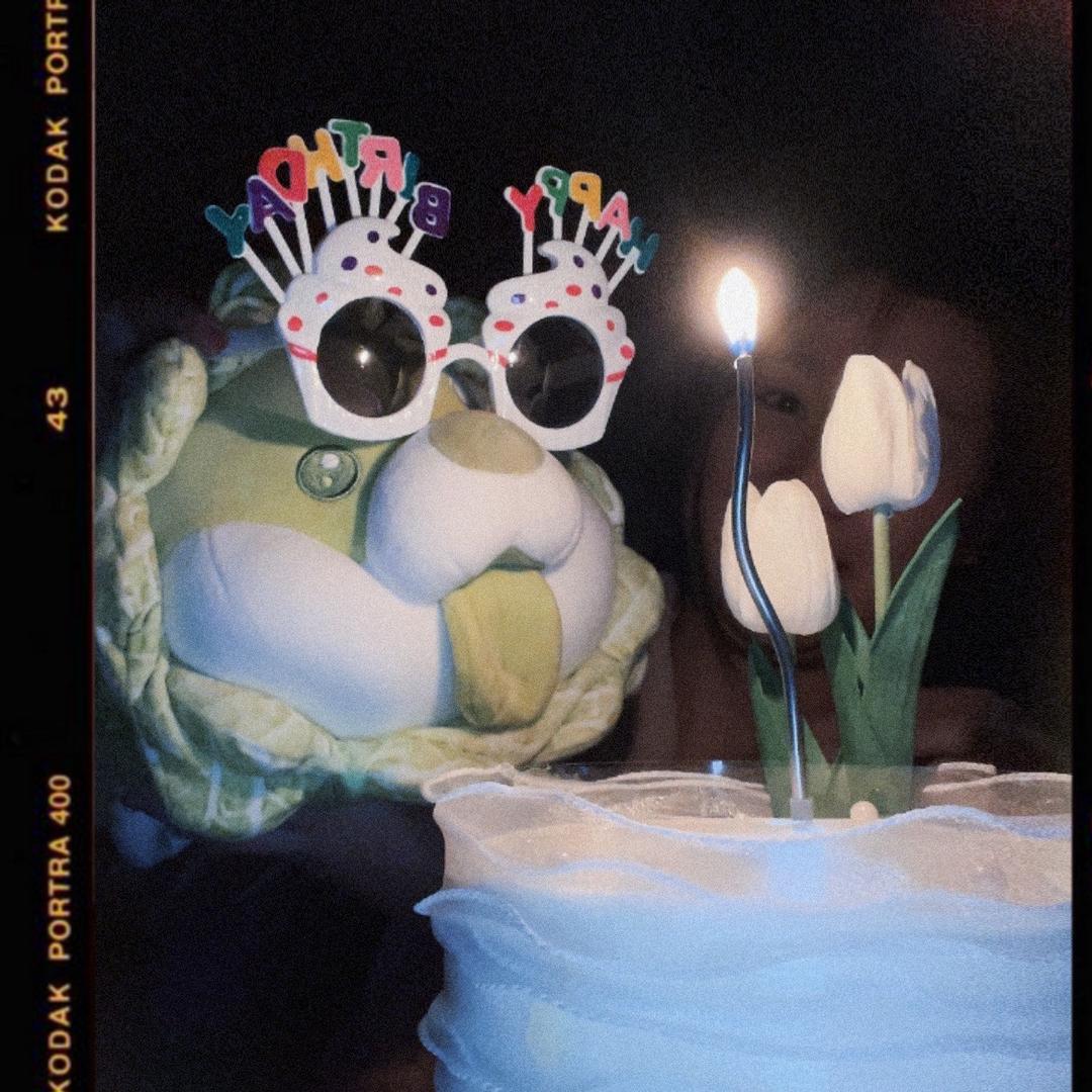 🌈菜狗百天🐯