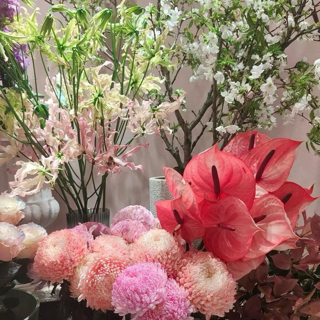 勇闯问题肌的洁小宝。