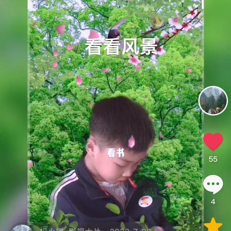 权小宝：若水之静